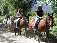 Paseos a Caballo